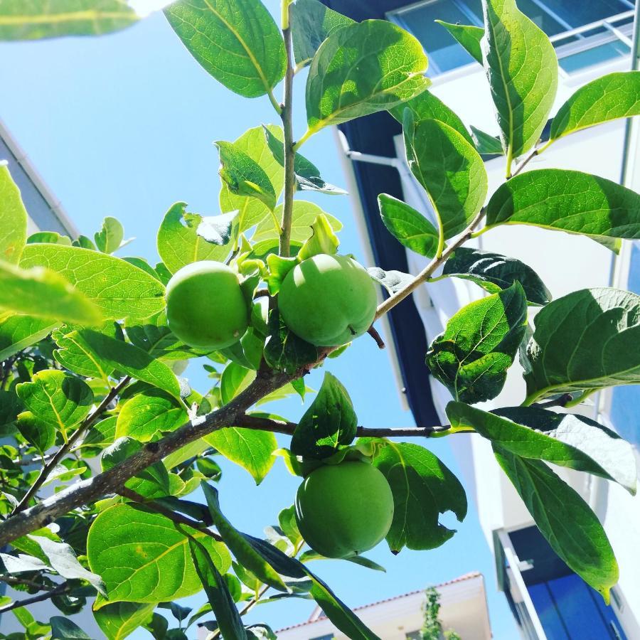 Luna Alaçatı Otel Alacati Exterior foto