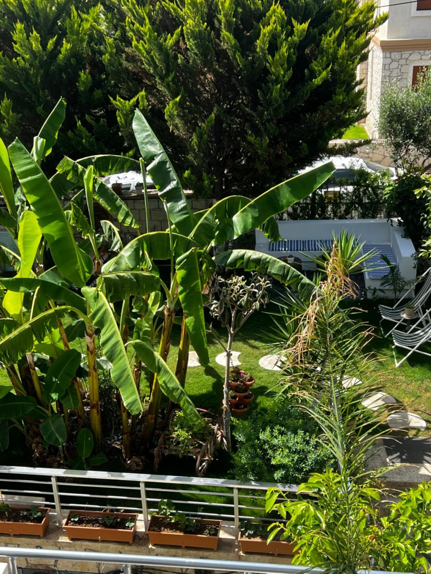 Luna Alaçatı Otel Alacati Exterior foto